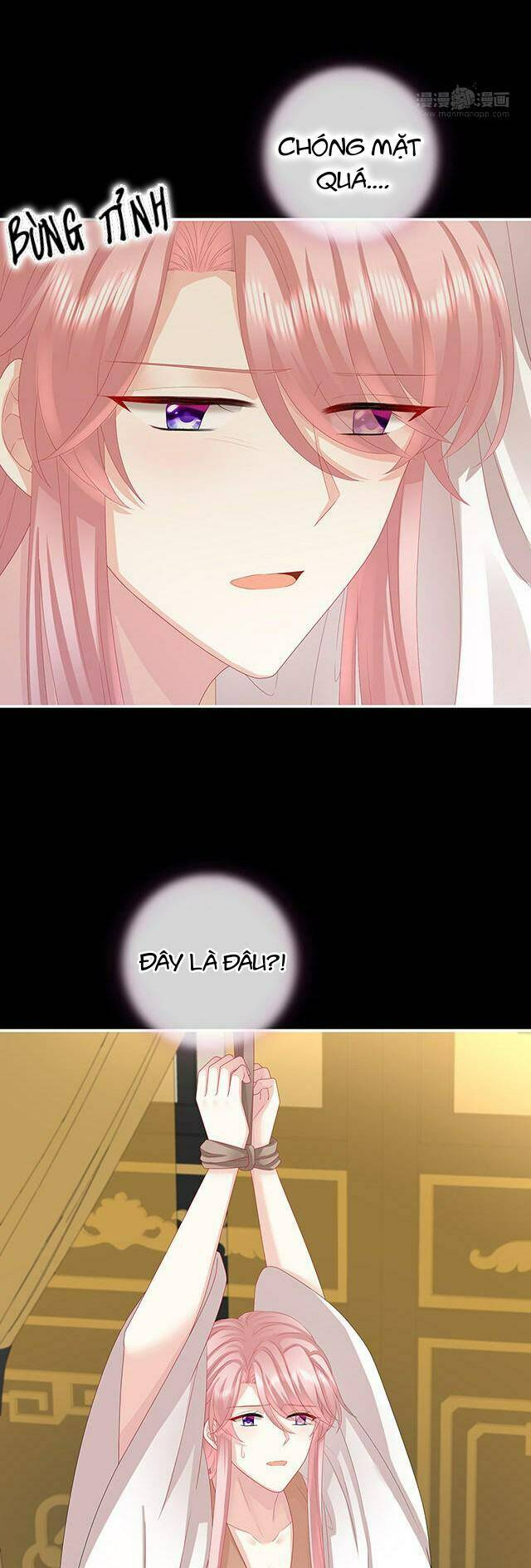 Chapter 30.2 trang 5