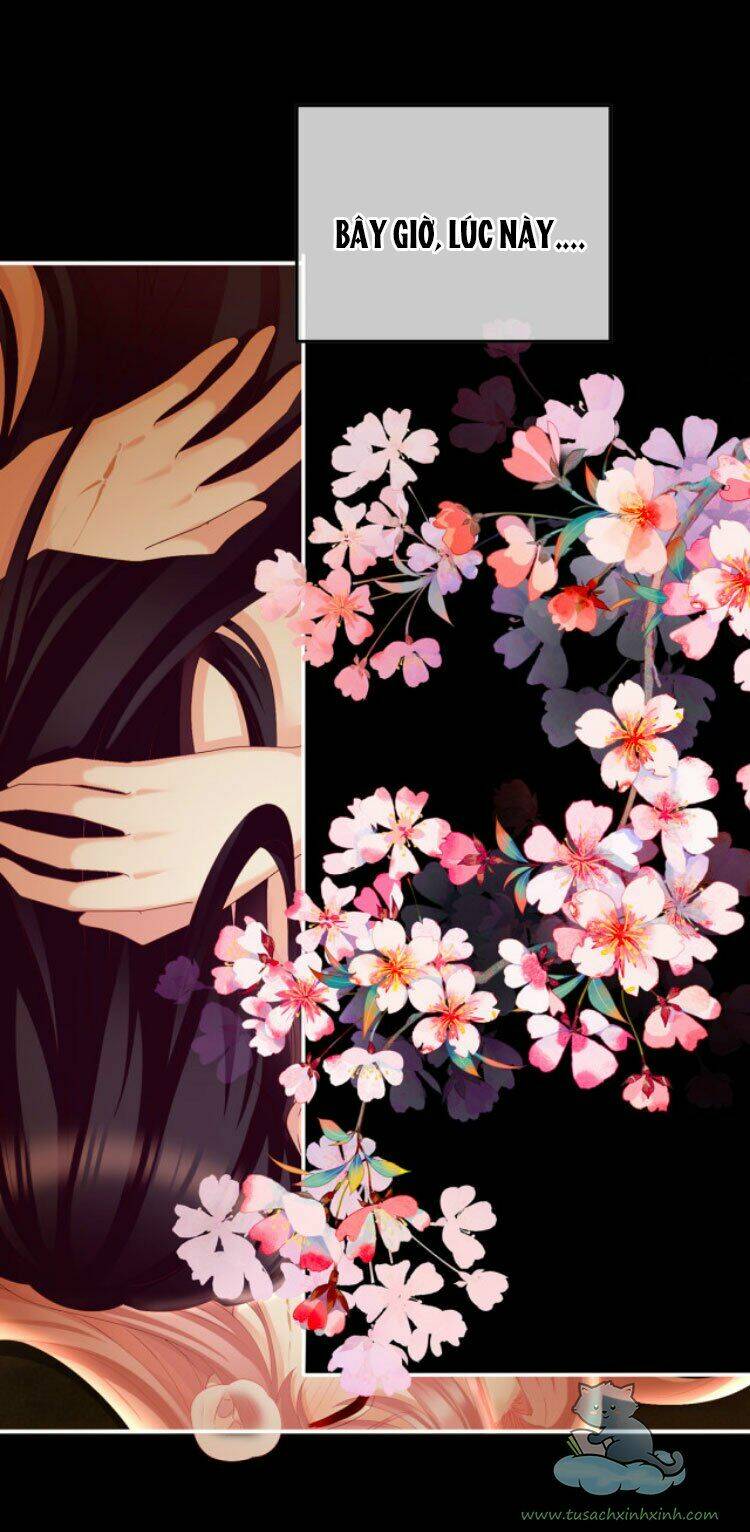 Chapter 39 trang 29