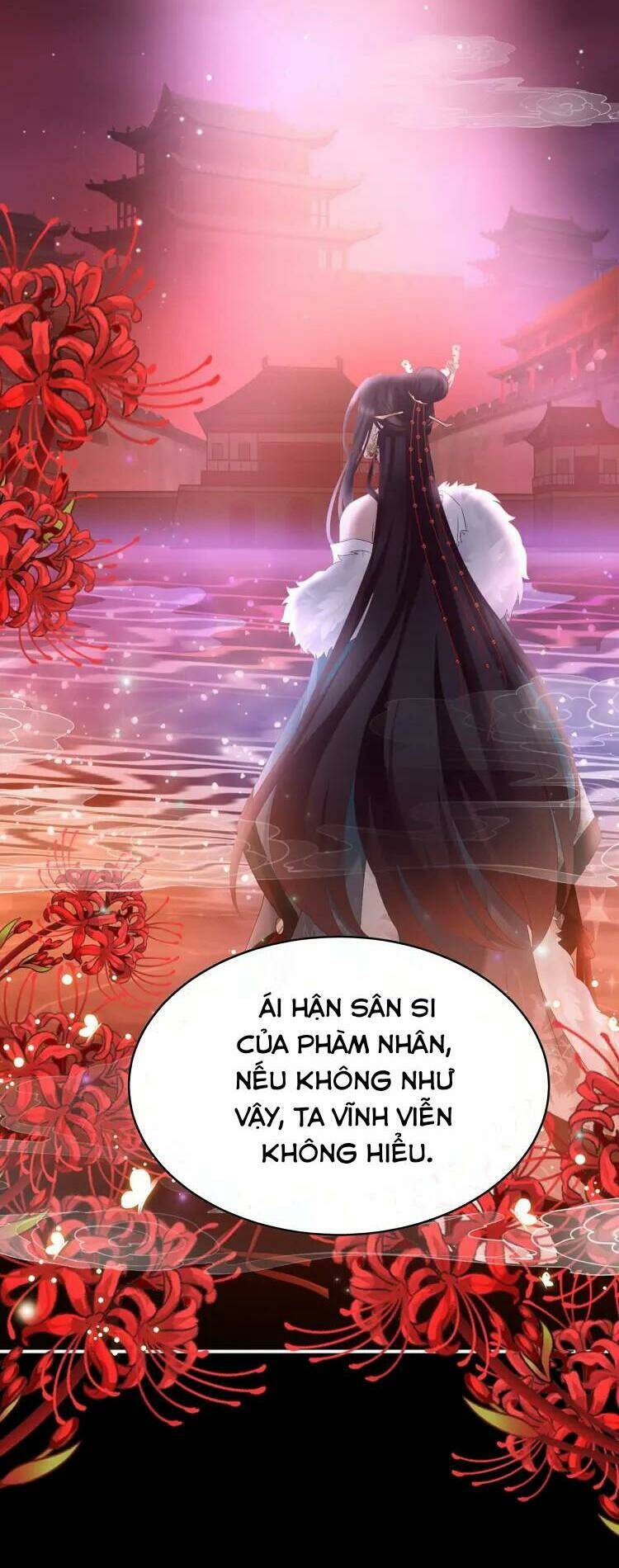 Chapter 56 trang 25