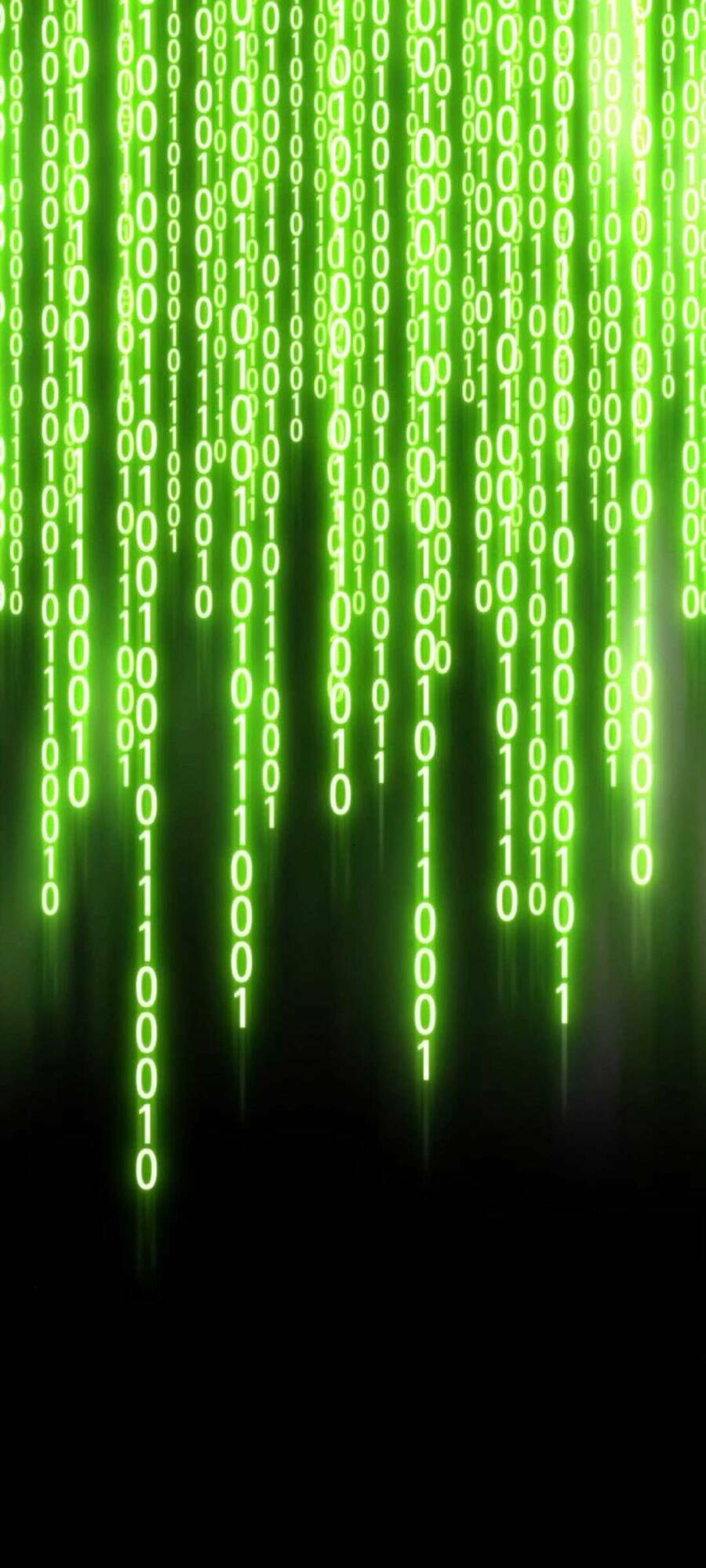 Chapter 20.4 trang 36