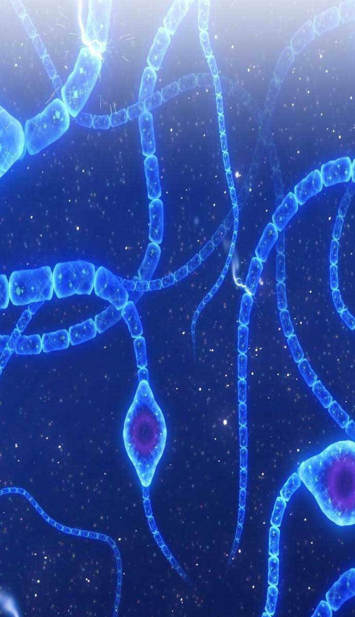 Chapter 64.2 trang 82