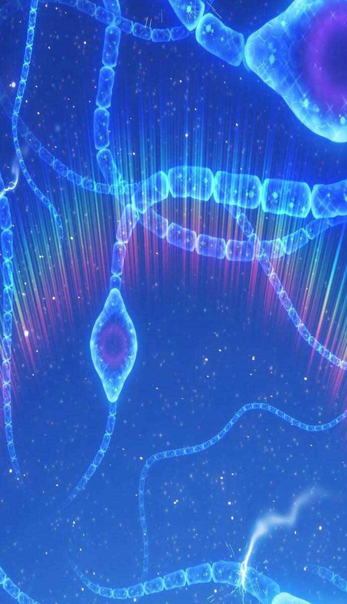 Chapter 64.4 trang 71