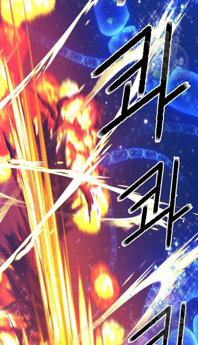 Chapter 65 trang 177