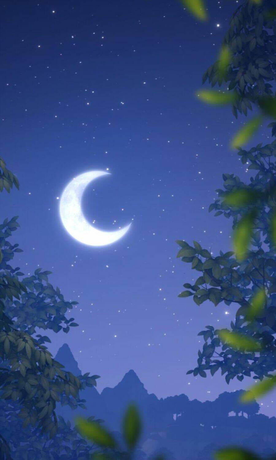 Chapter 8.5 trang 23