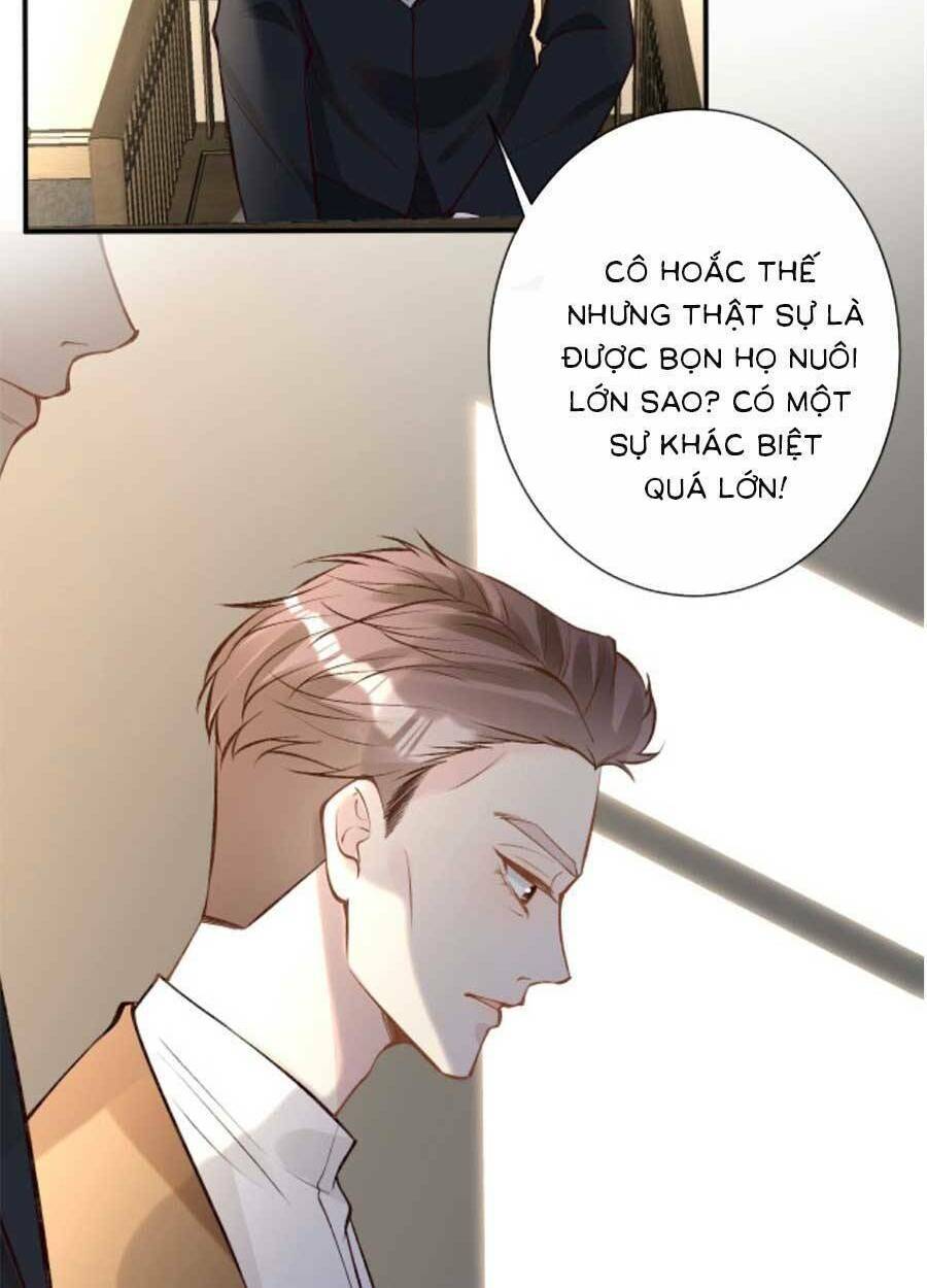 Chapter 121 trang 20