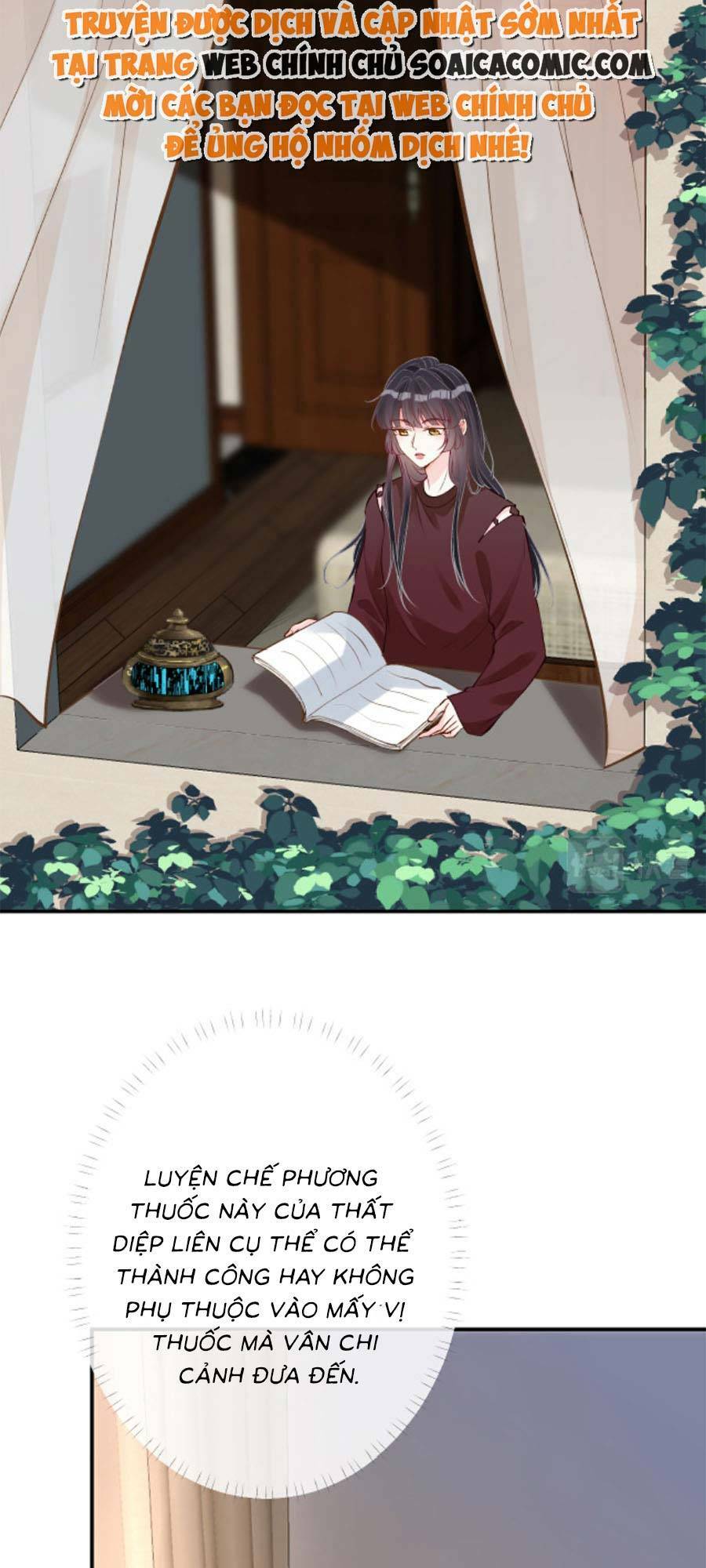 Chapter 146 trang 25