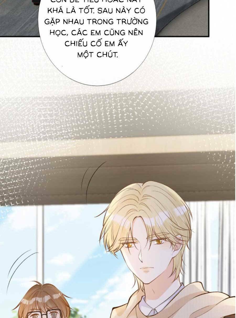 Chapter 155 trang 15