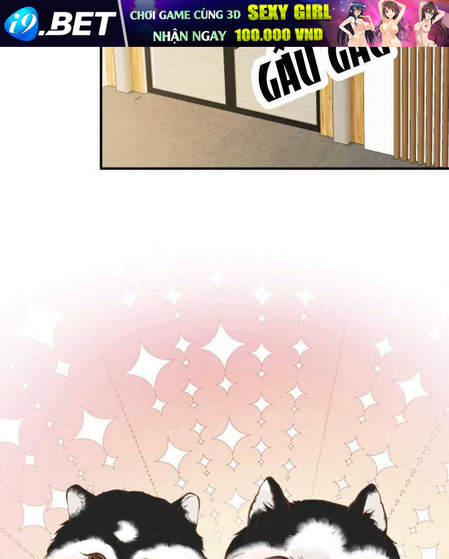 Chapter 155 trang 22