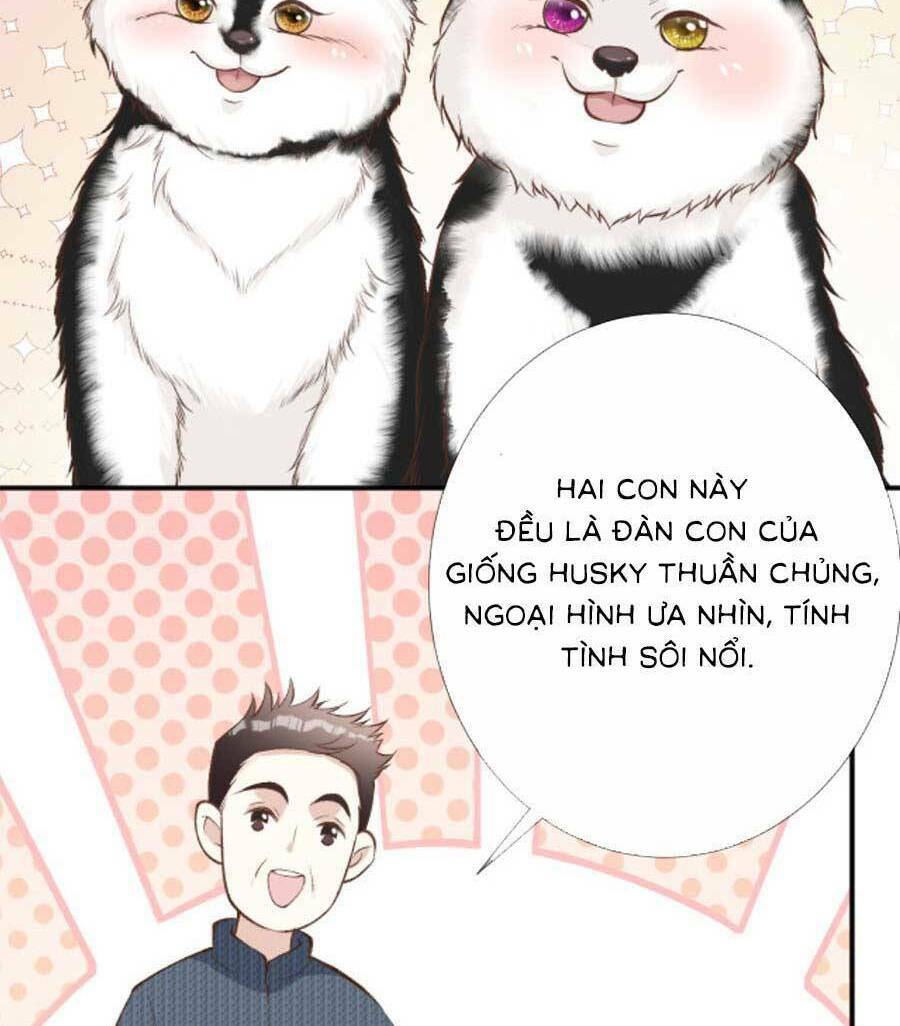 Chapter 155 trang 23