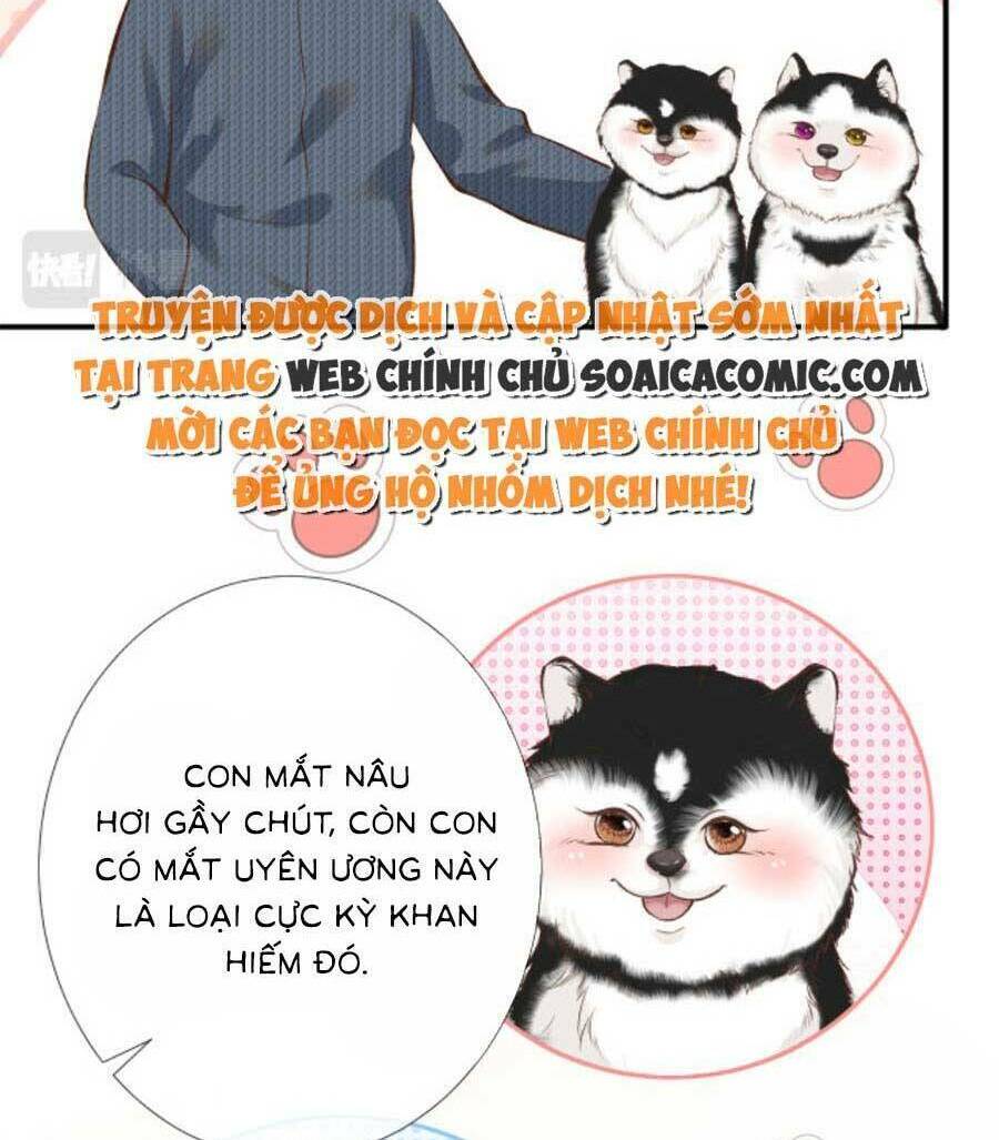 Chapter 155 trang 24