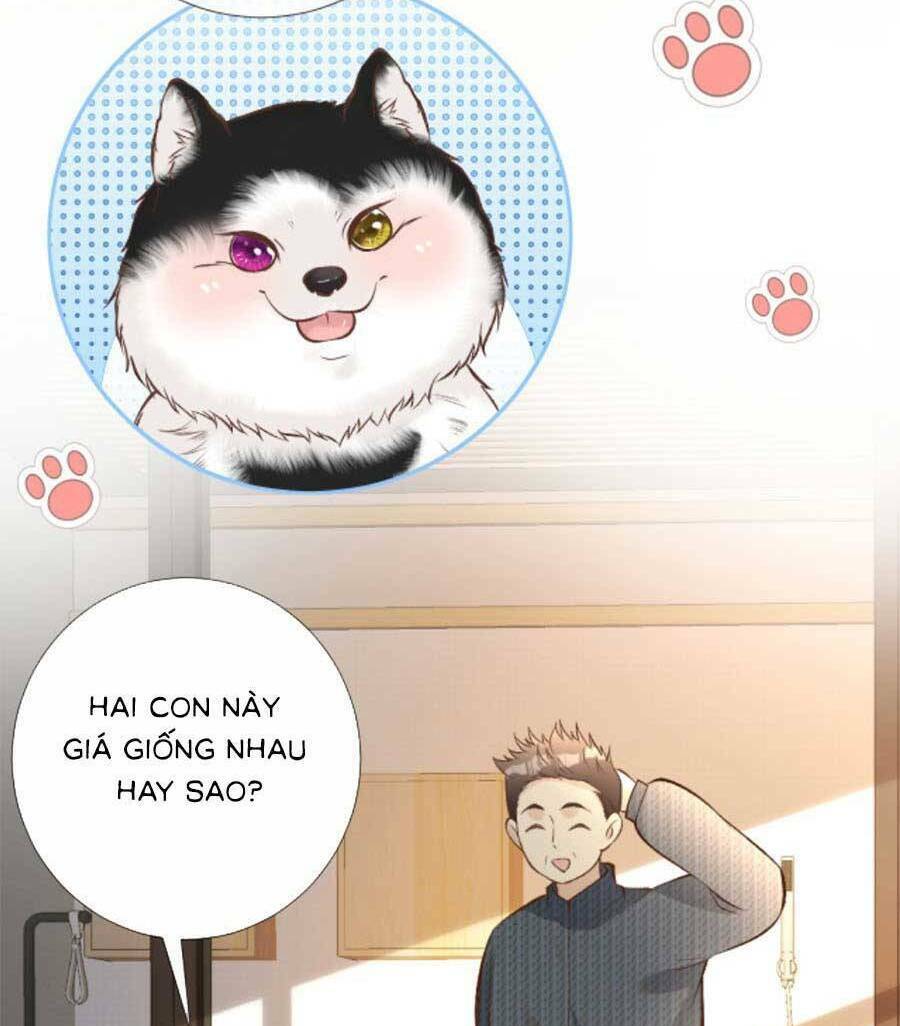 Chapter 155 trang 25