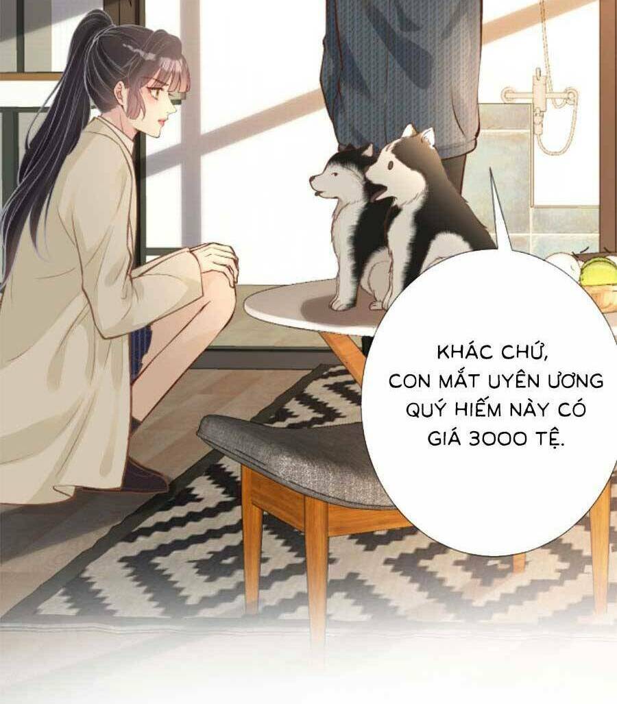 Chapter 155 trang 26