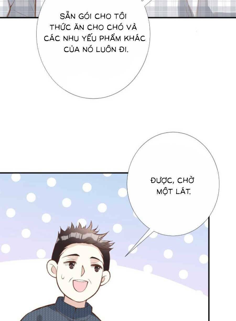 Chapter 155 trang 29