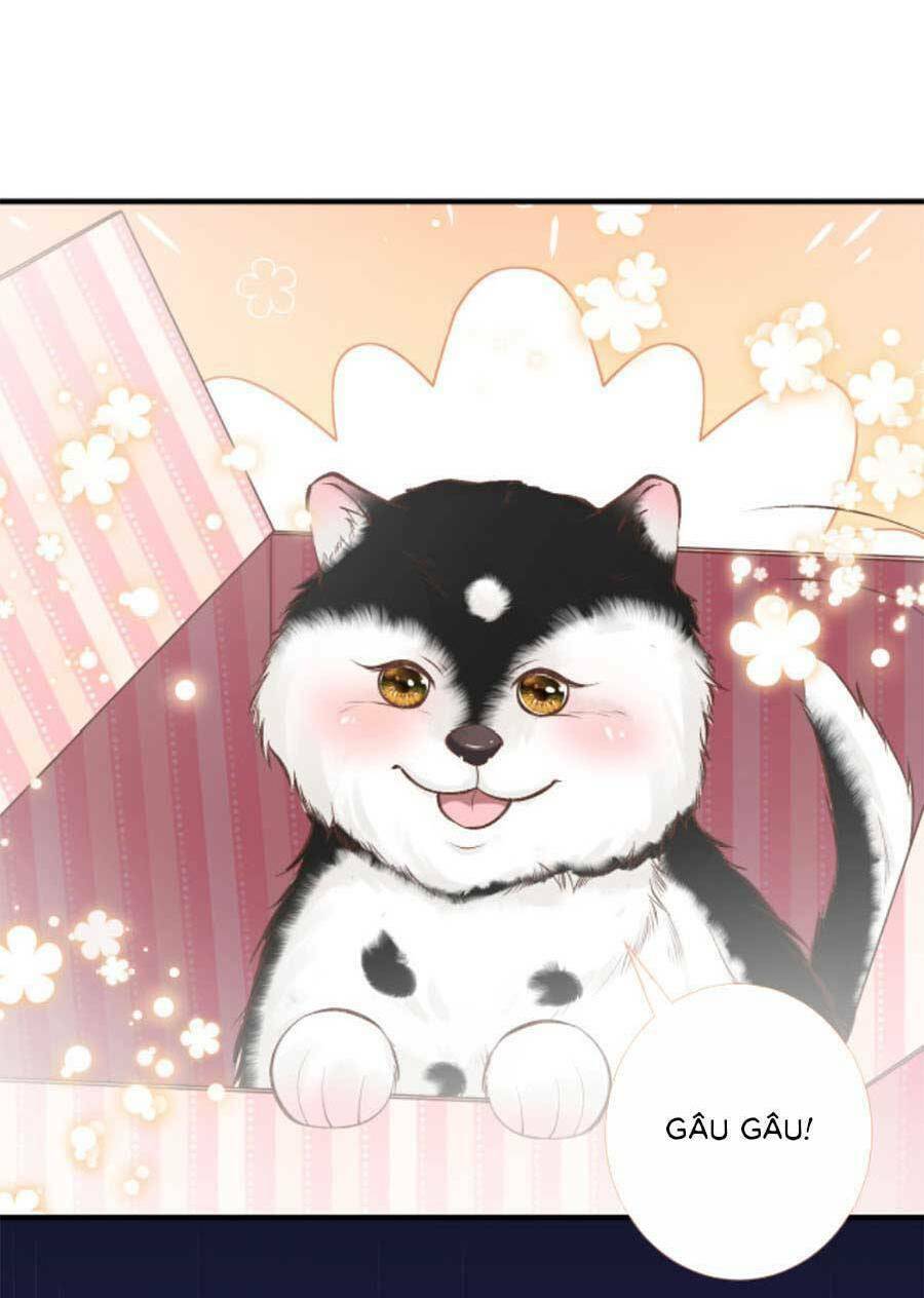 Chapter 155 trang 47