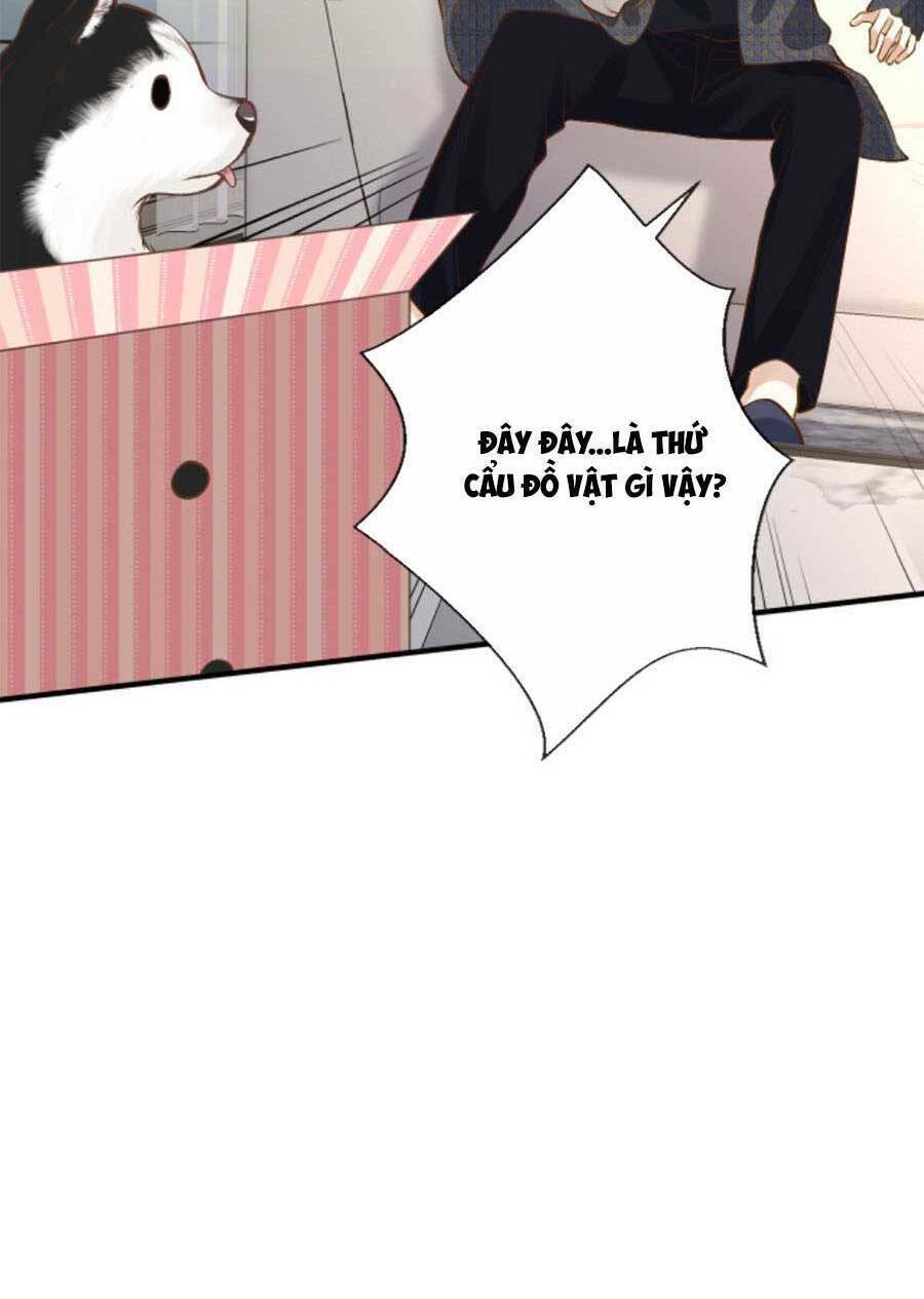 Chapter 155 trang 50