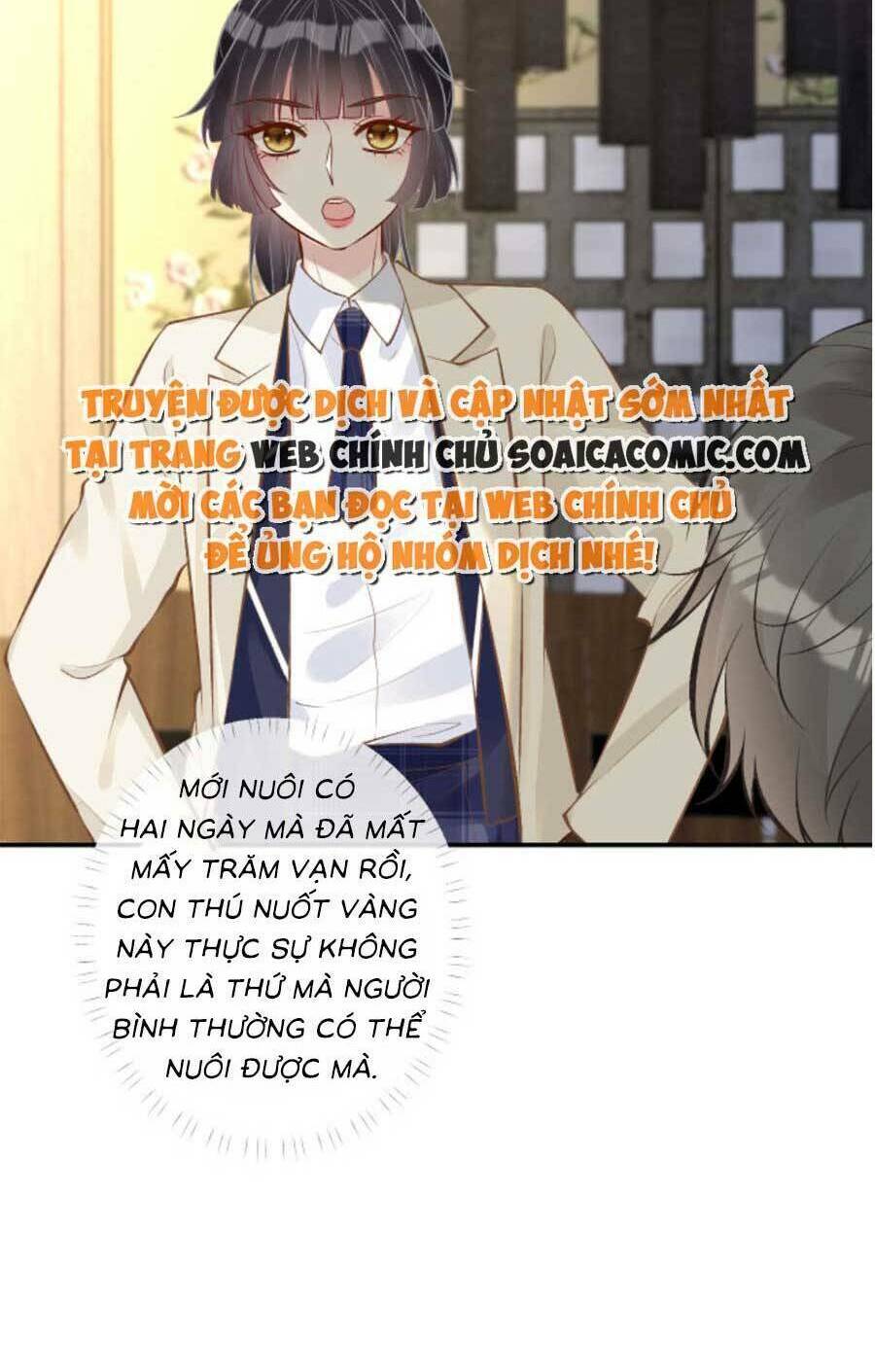 Chapter 156 trang 20