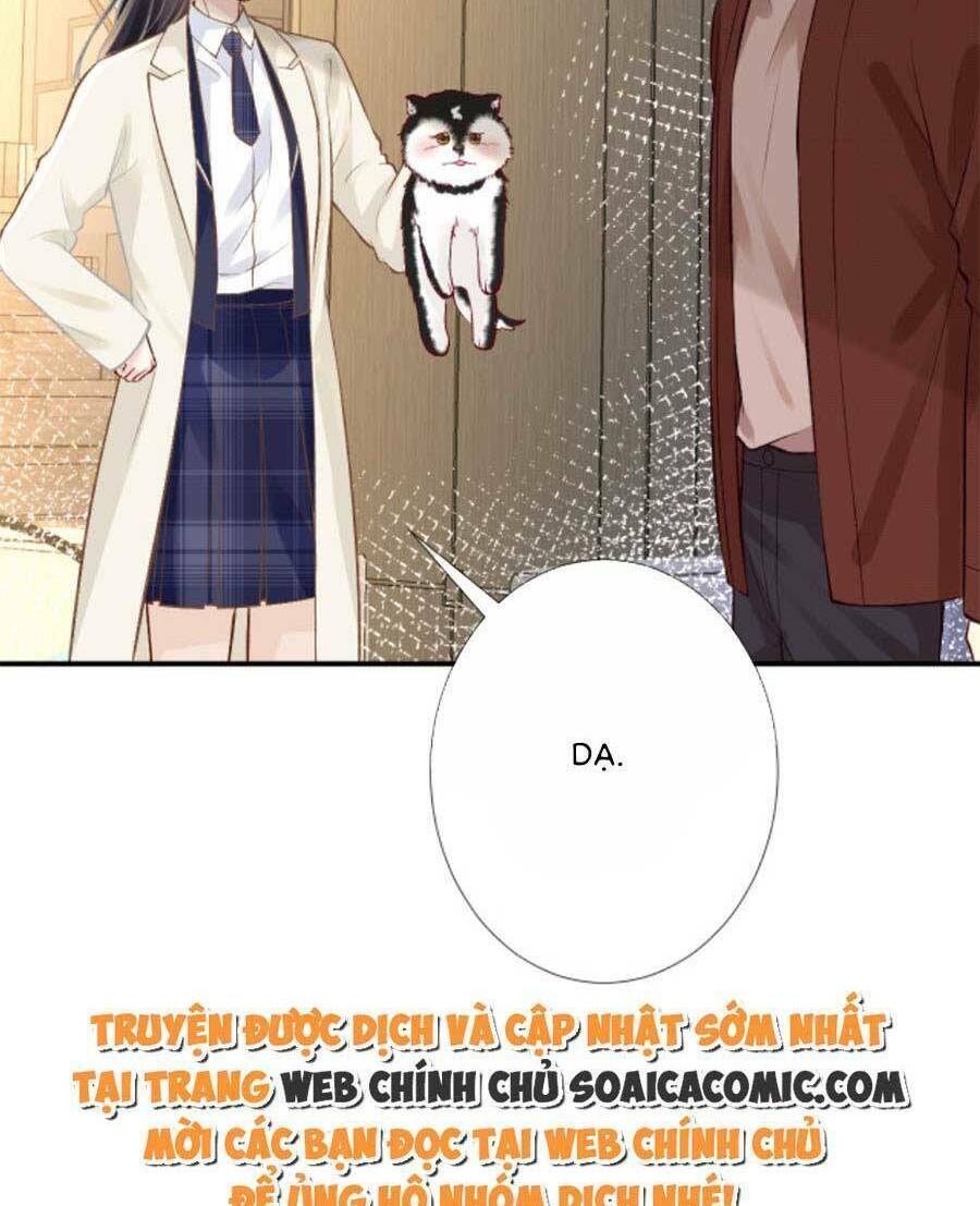 Chapter 156 trang 22