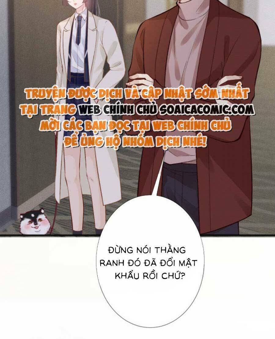 Chapter 156 trang 26