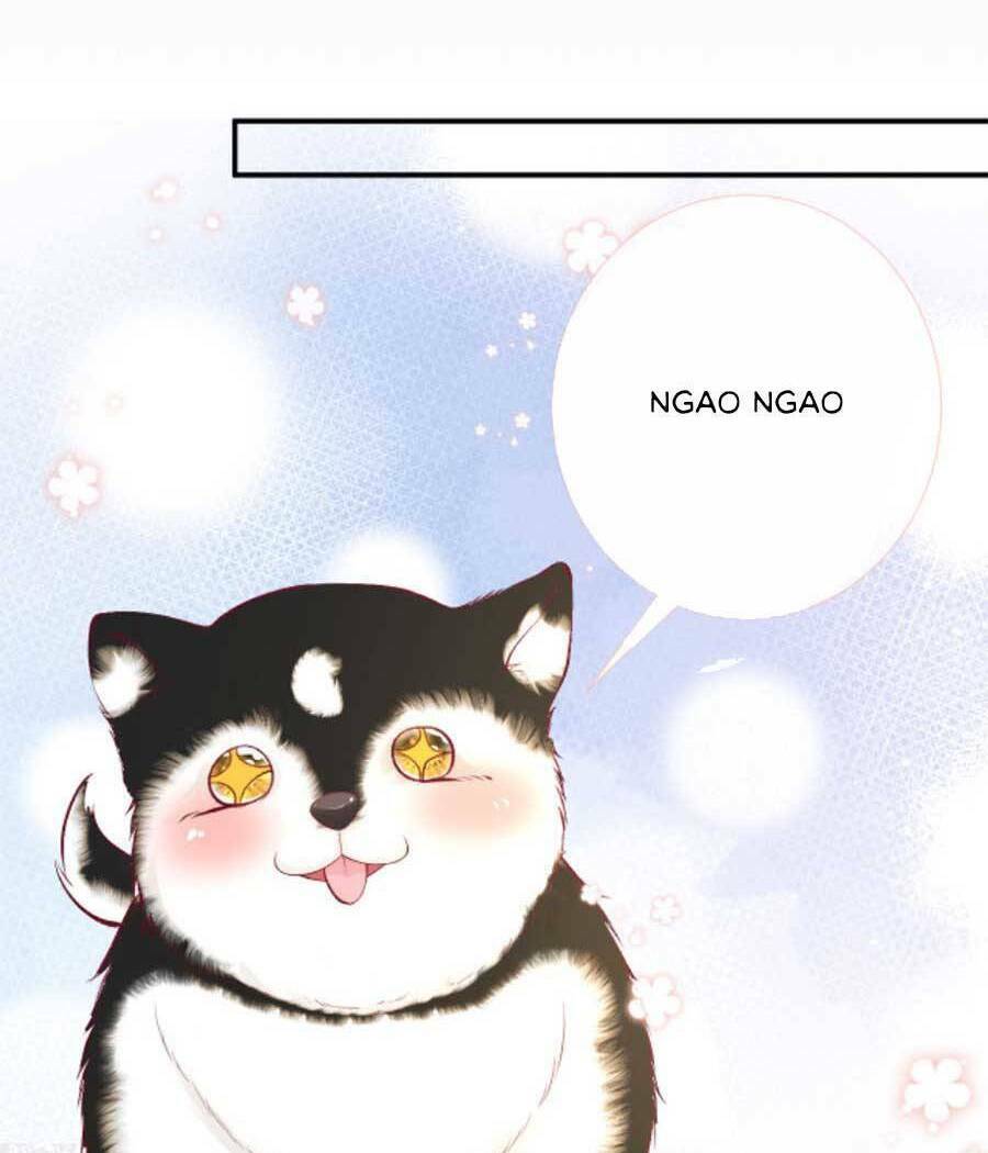 Chapter 156 trang 51