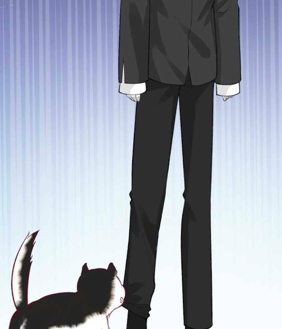 Chapter 156 trang 53