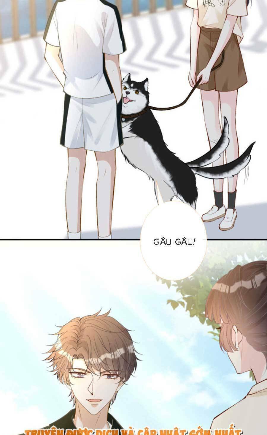 Chapter 159 trang 41