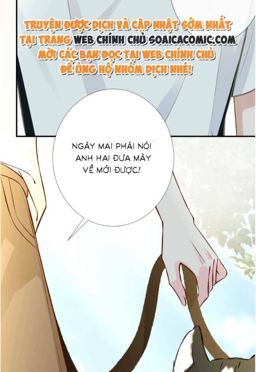 Chapter 159 trang 51