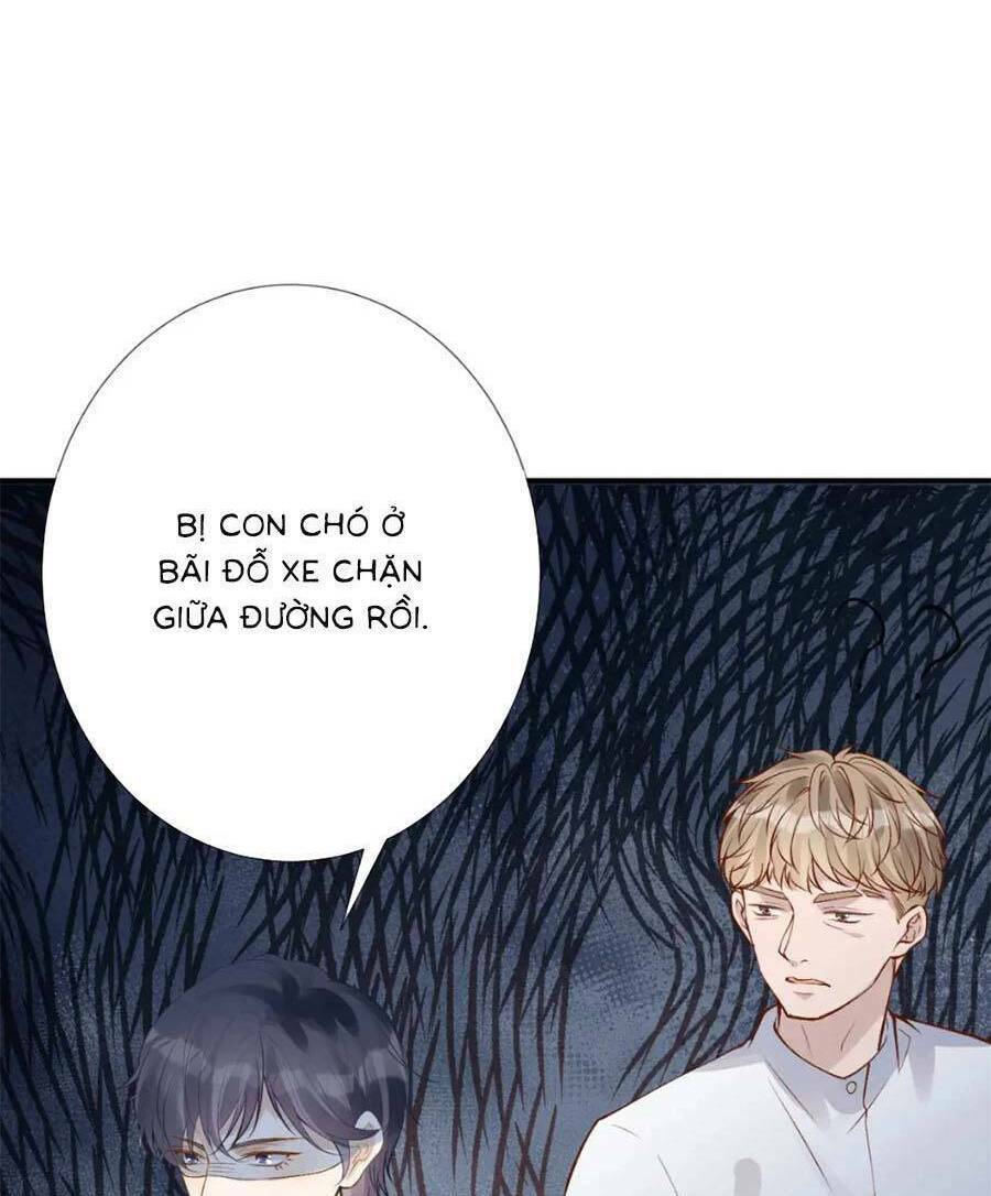 Chapter 166 trang 27