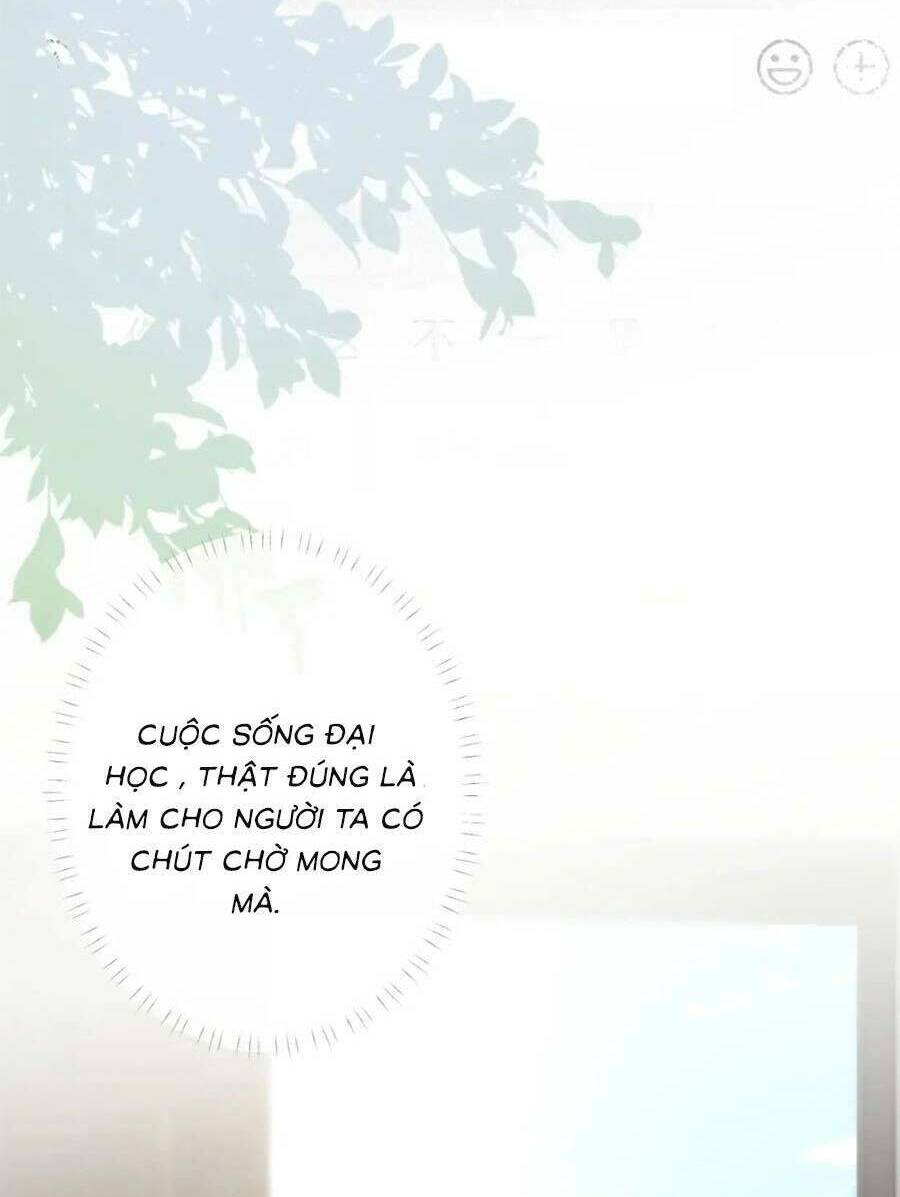 Chapter 166 trang 56