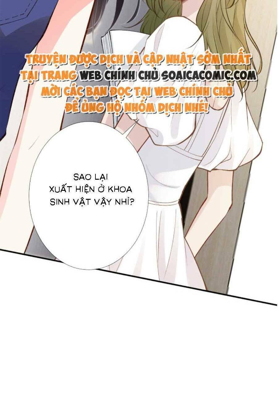 Chapter 167 trang 24