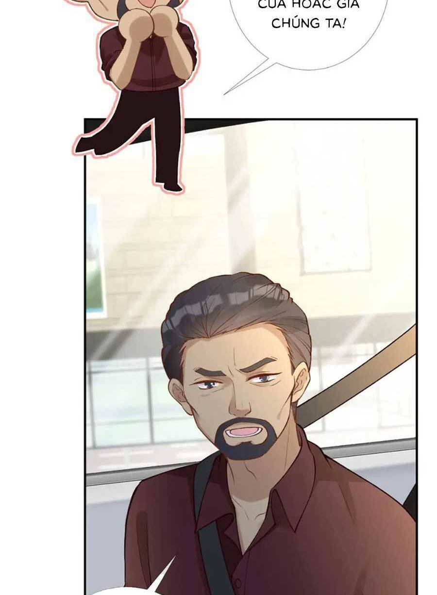 Chapter 176 trang 41