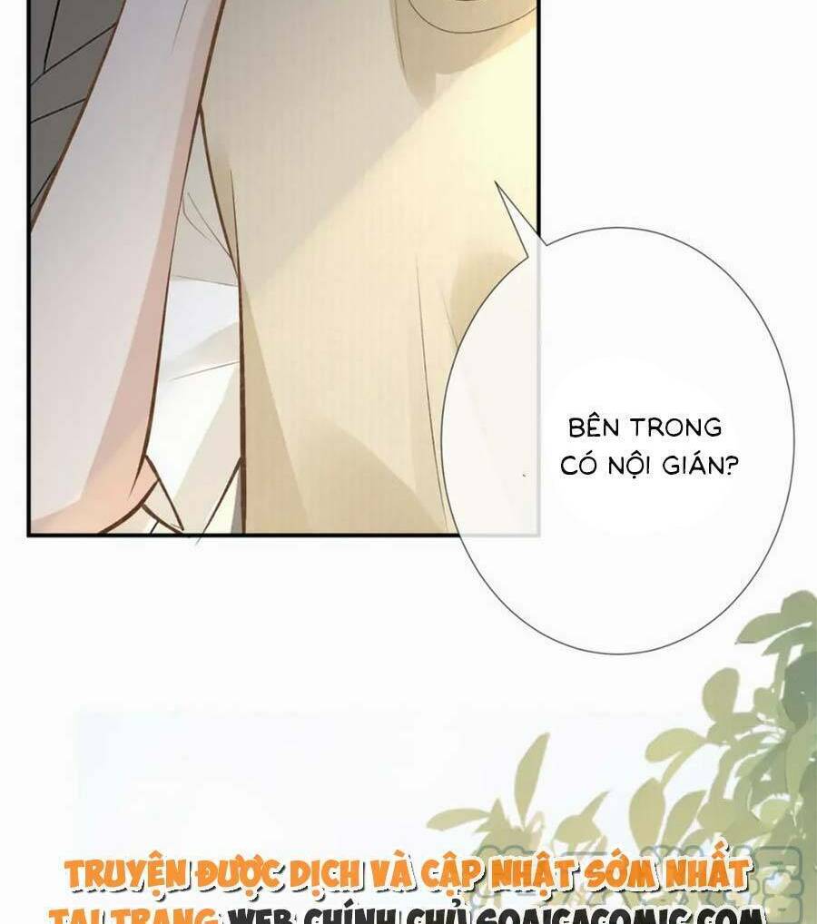 Chapter 178 trang 14