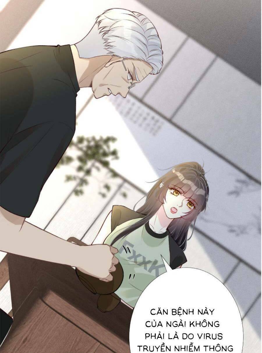 Chapter 187 trang 29