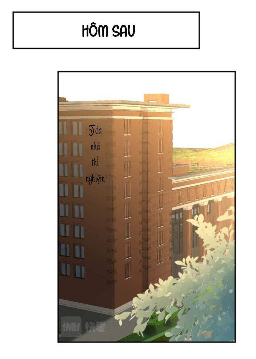 Chapter 187 trang 36