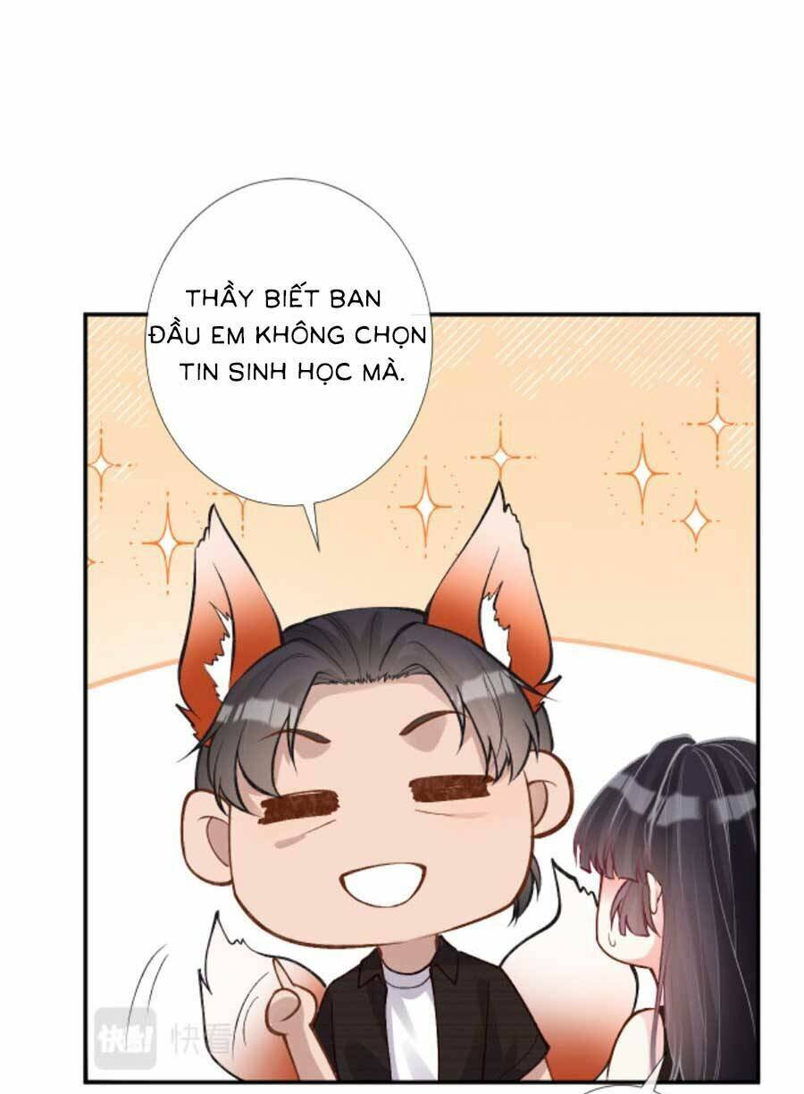 Chapter 193 trang 13