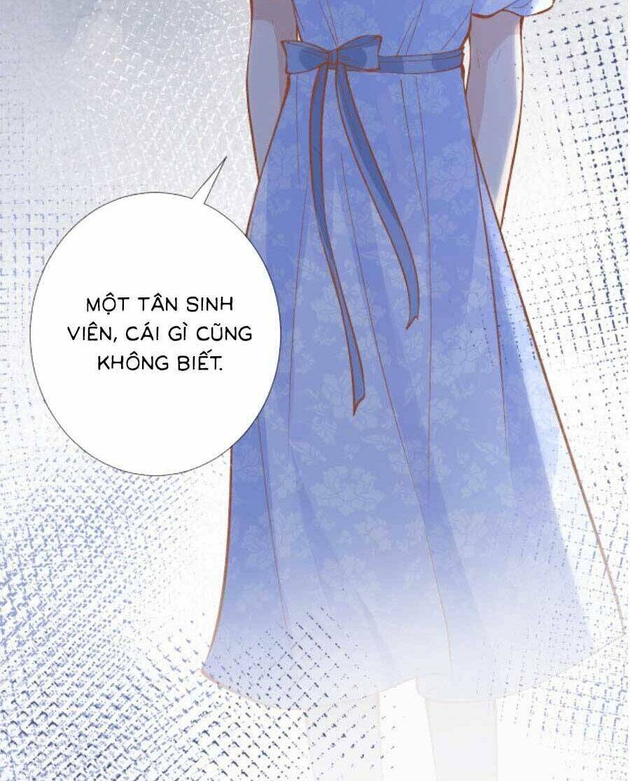 Chapter 193 trang 47