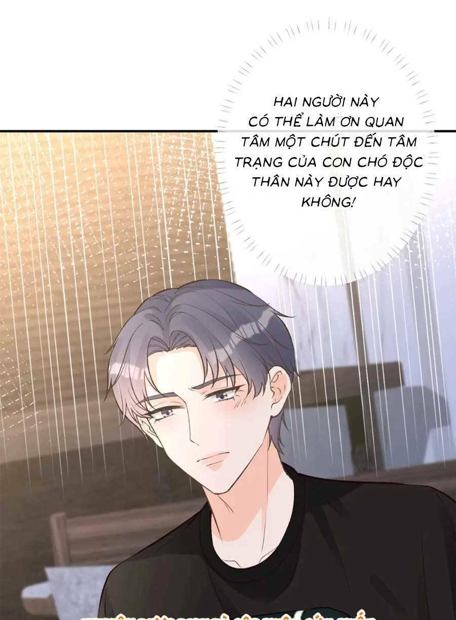 Chapter 202 trang 39