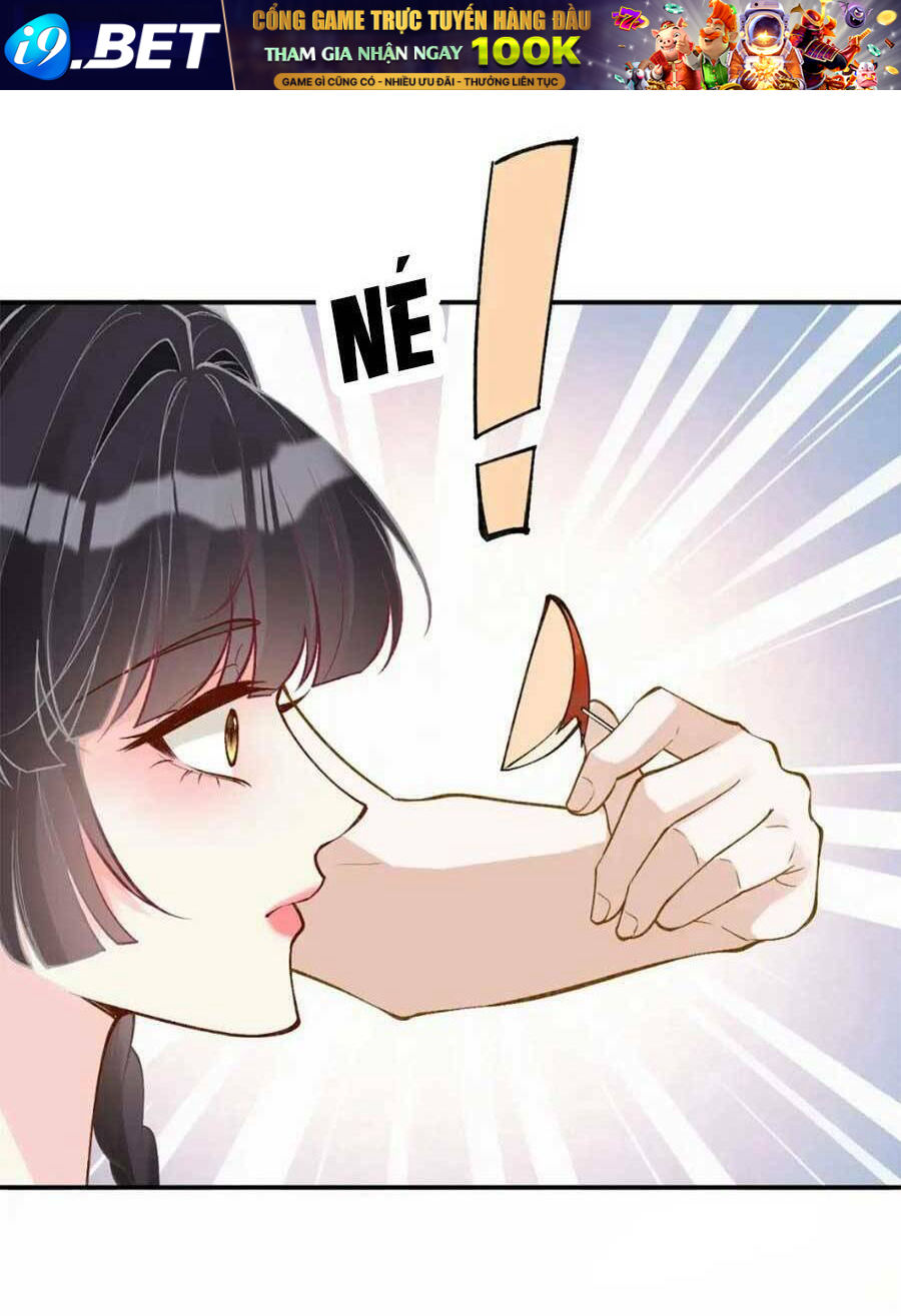 Chapter 202 trang 44