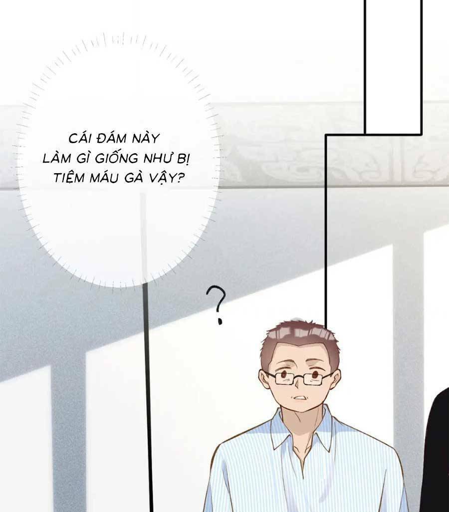 Chapter 203 trang 49