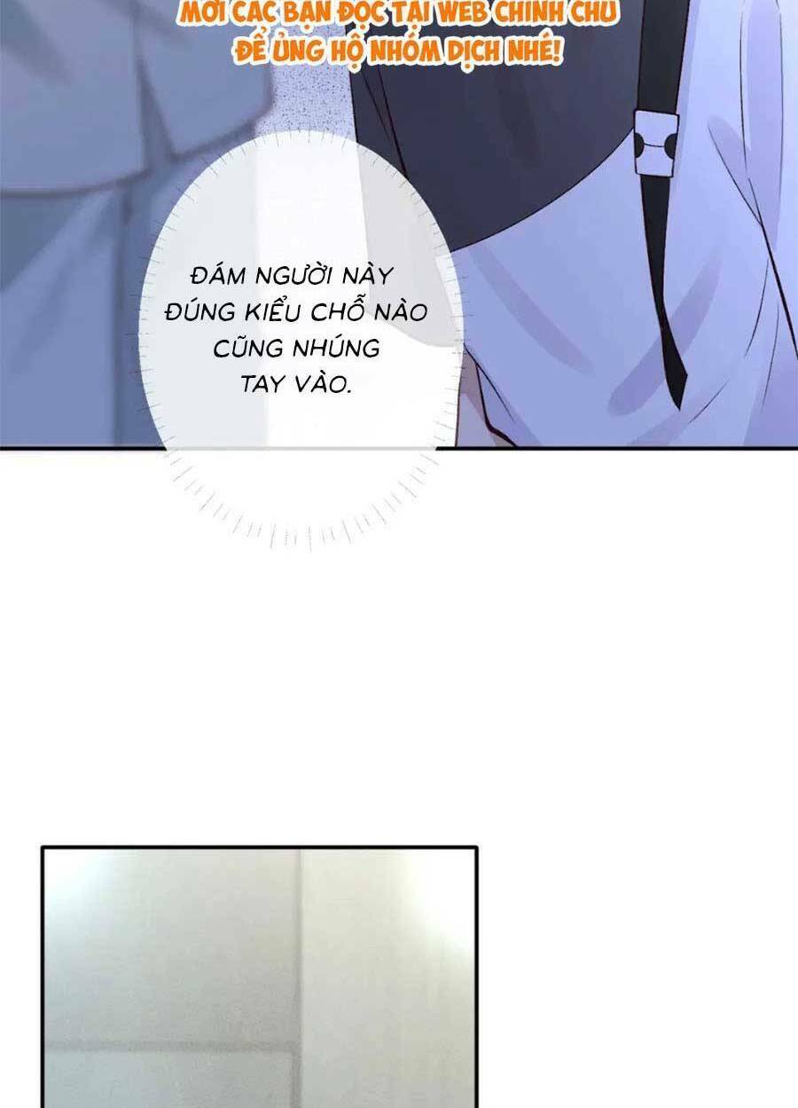 Chapter 204 trang 53