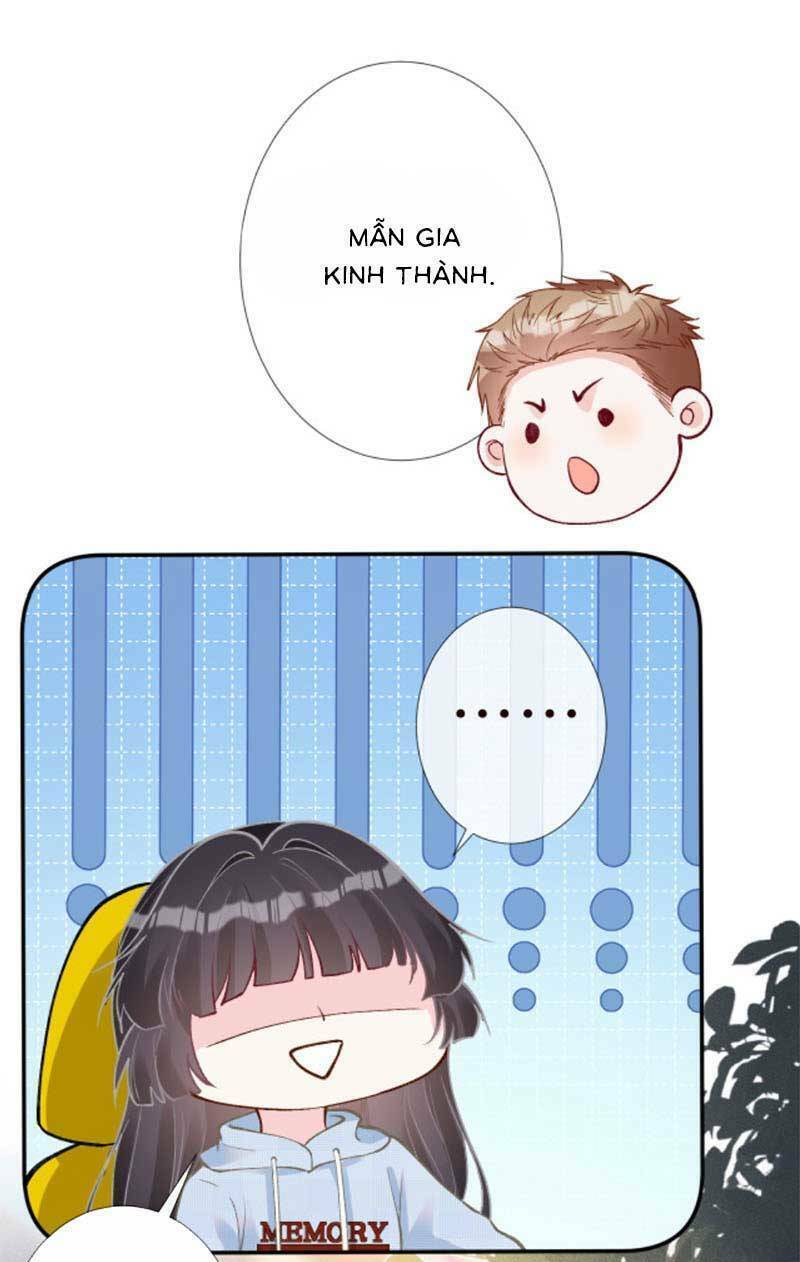 Chapter 219 trang 41