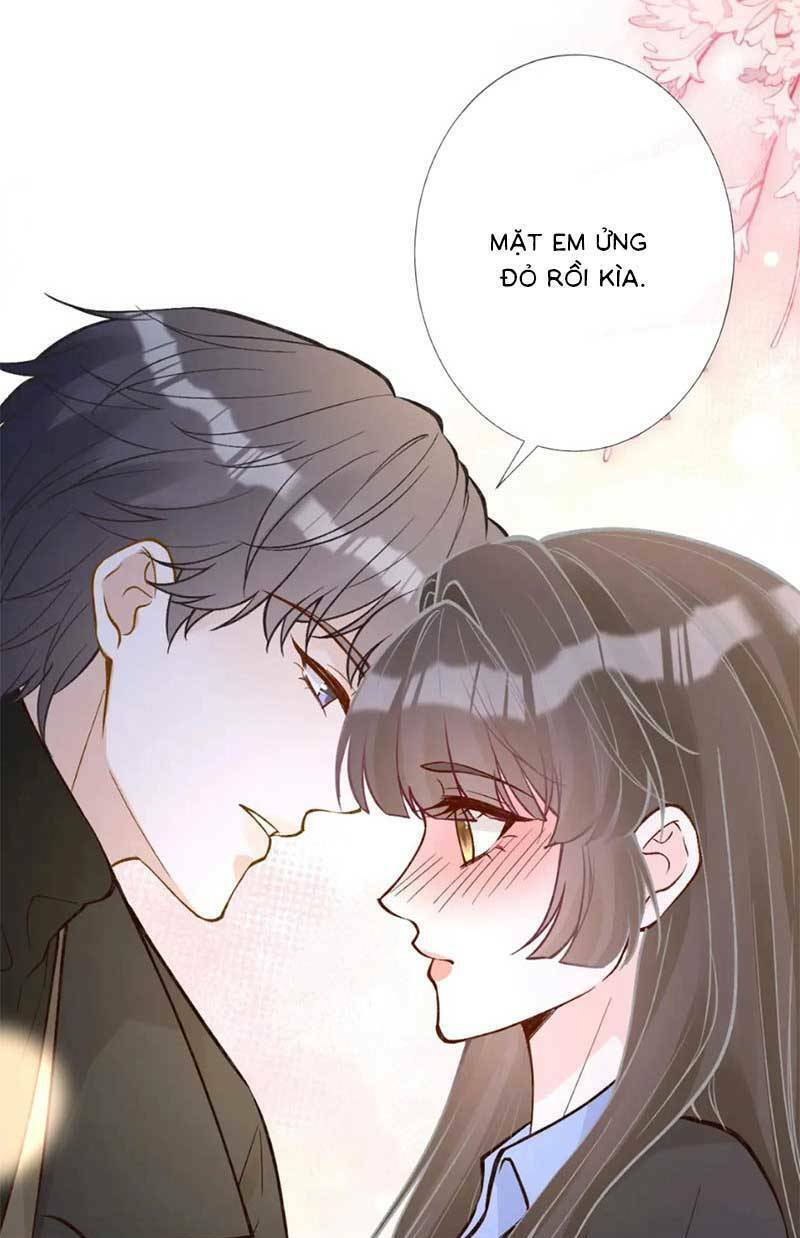 Chapter 229 trang 43