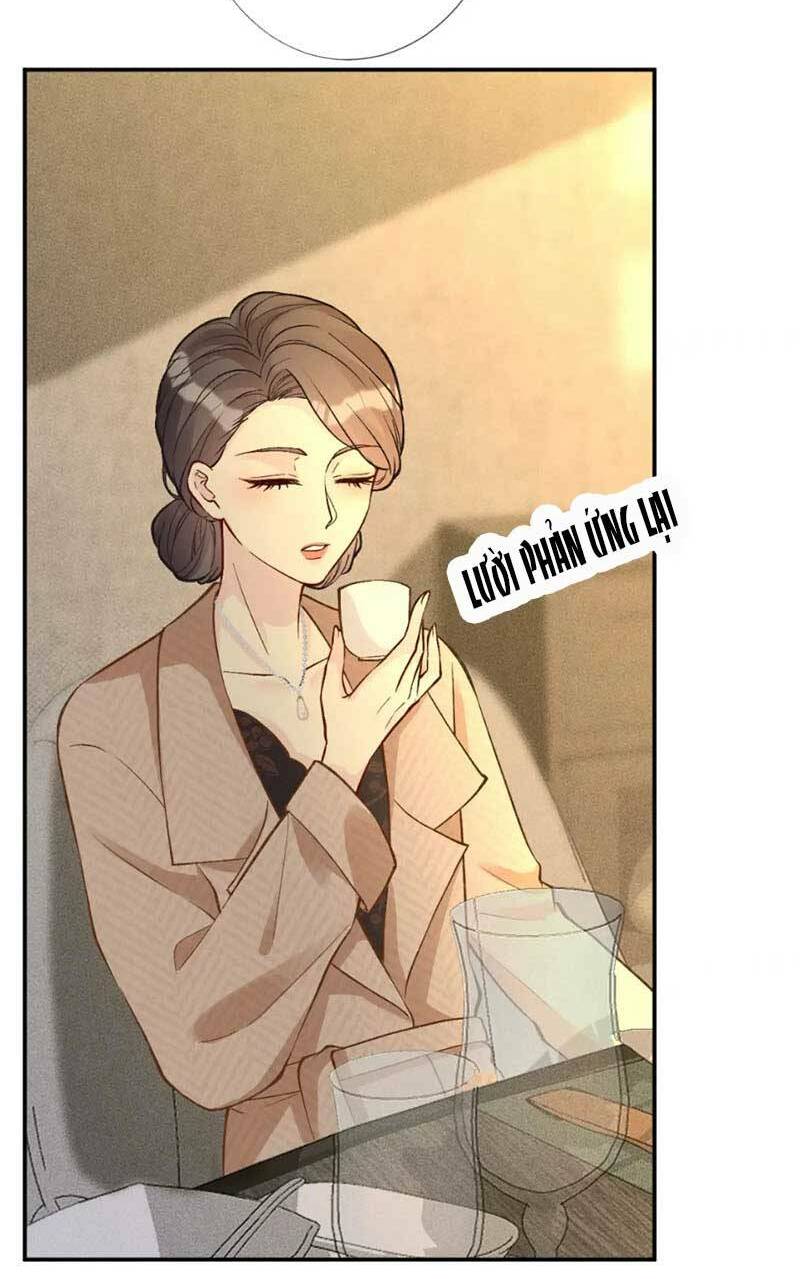 Chapter 233 trang 22