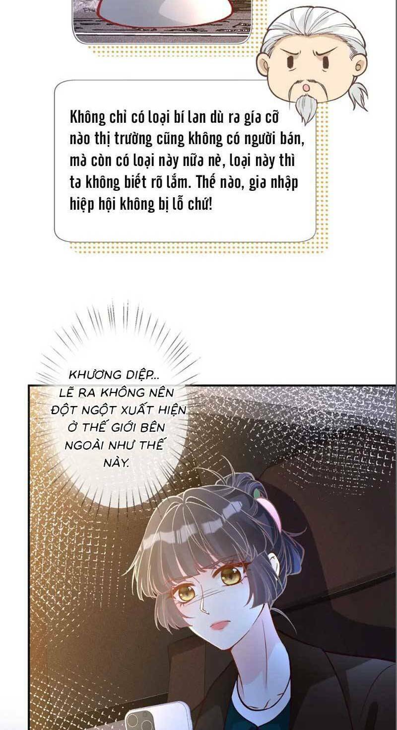 Chapter 234 trang 33