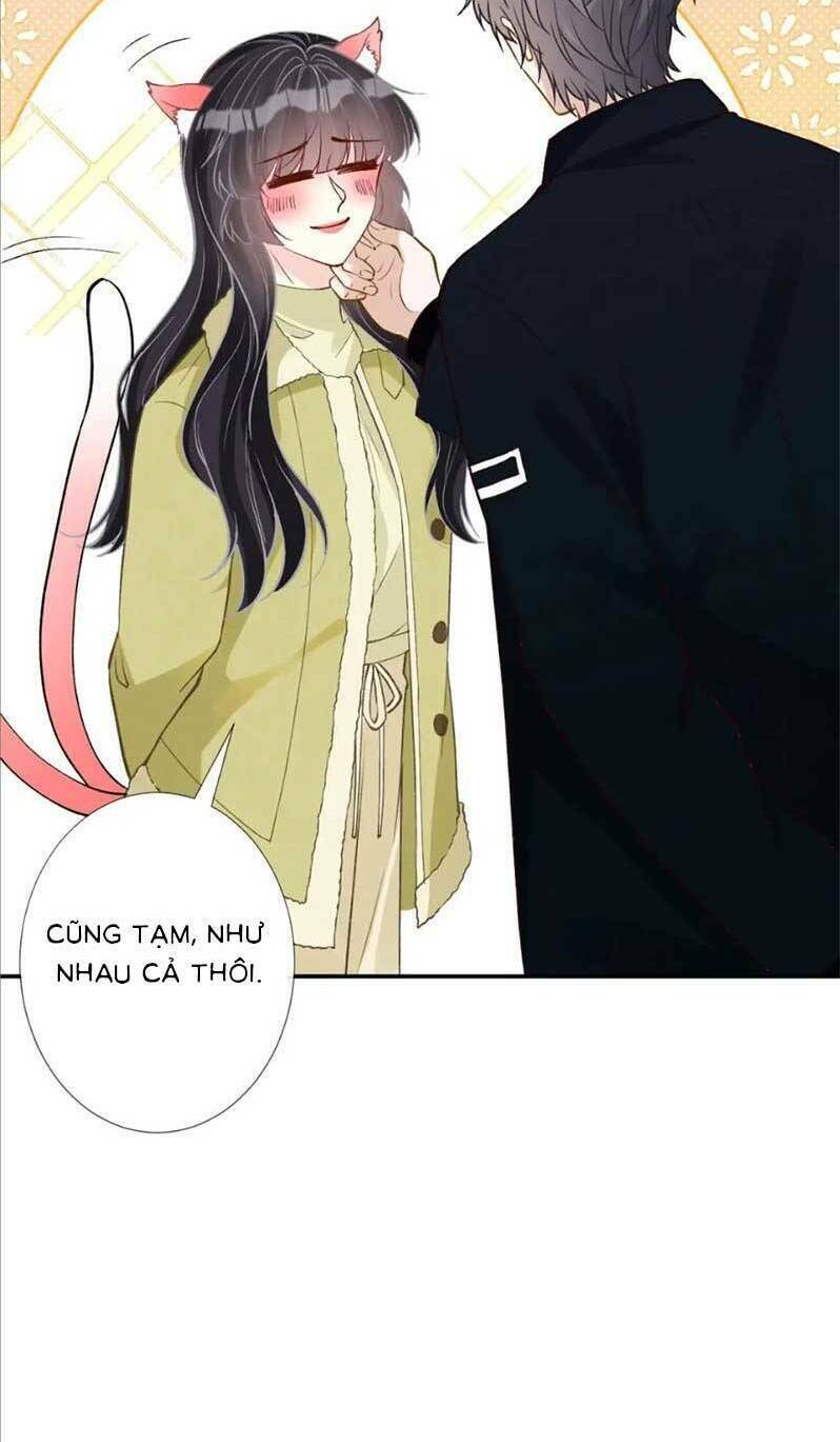 Chapter 242 trang 14