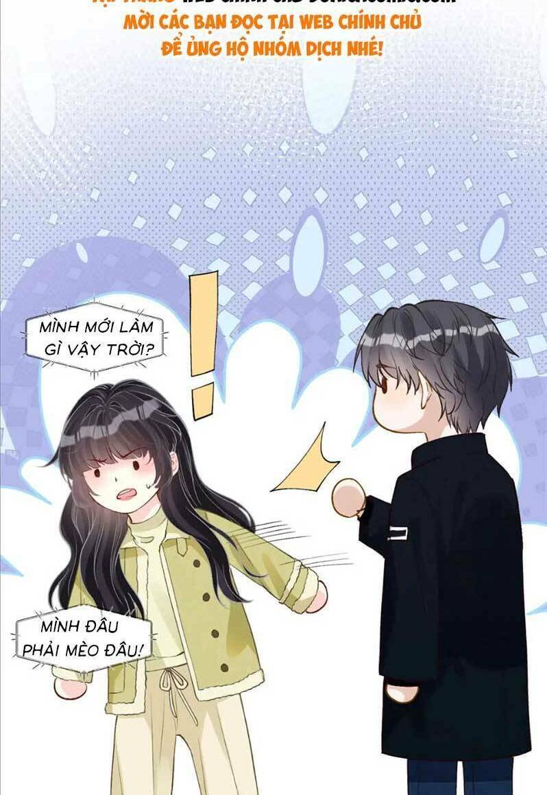 Chapter 242 trang 16