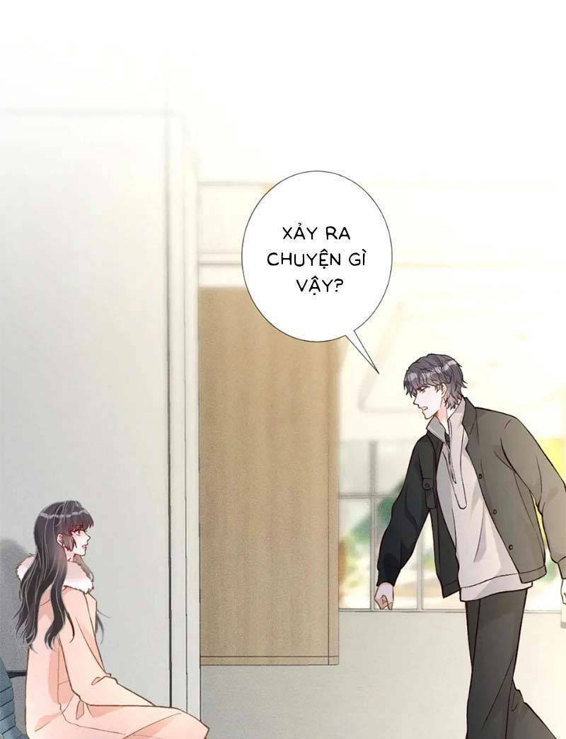 Chapter 246 trang 23