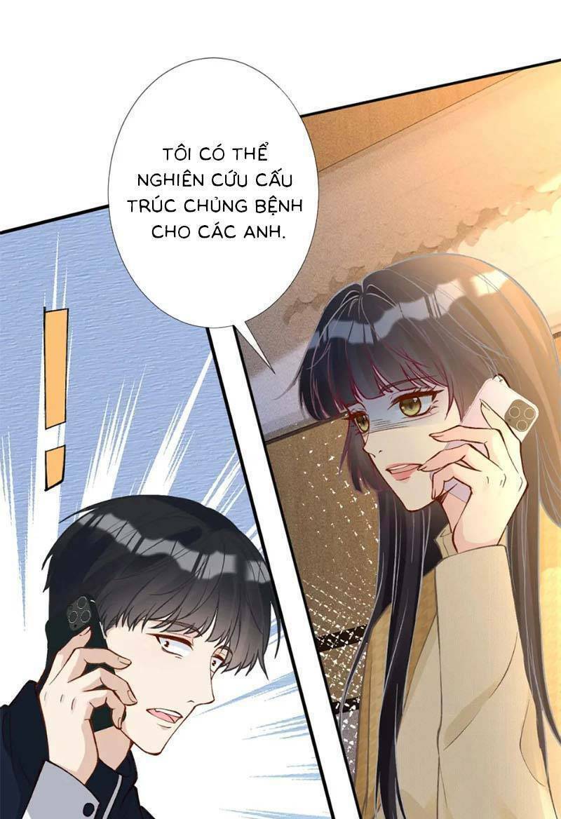 Chapter 255 trang 21