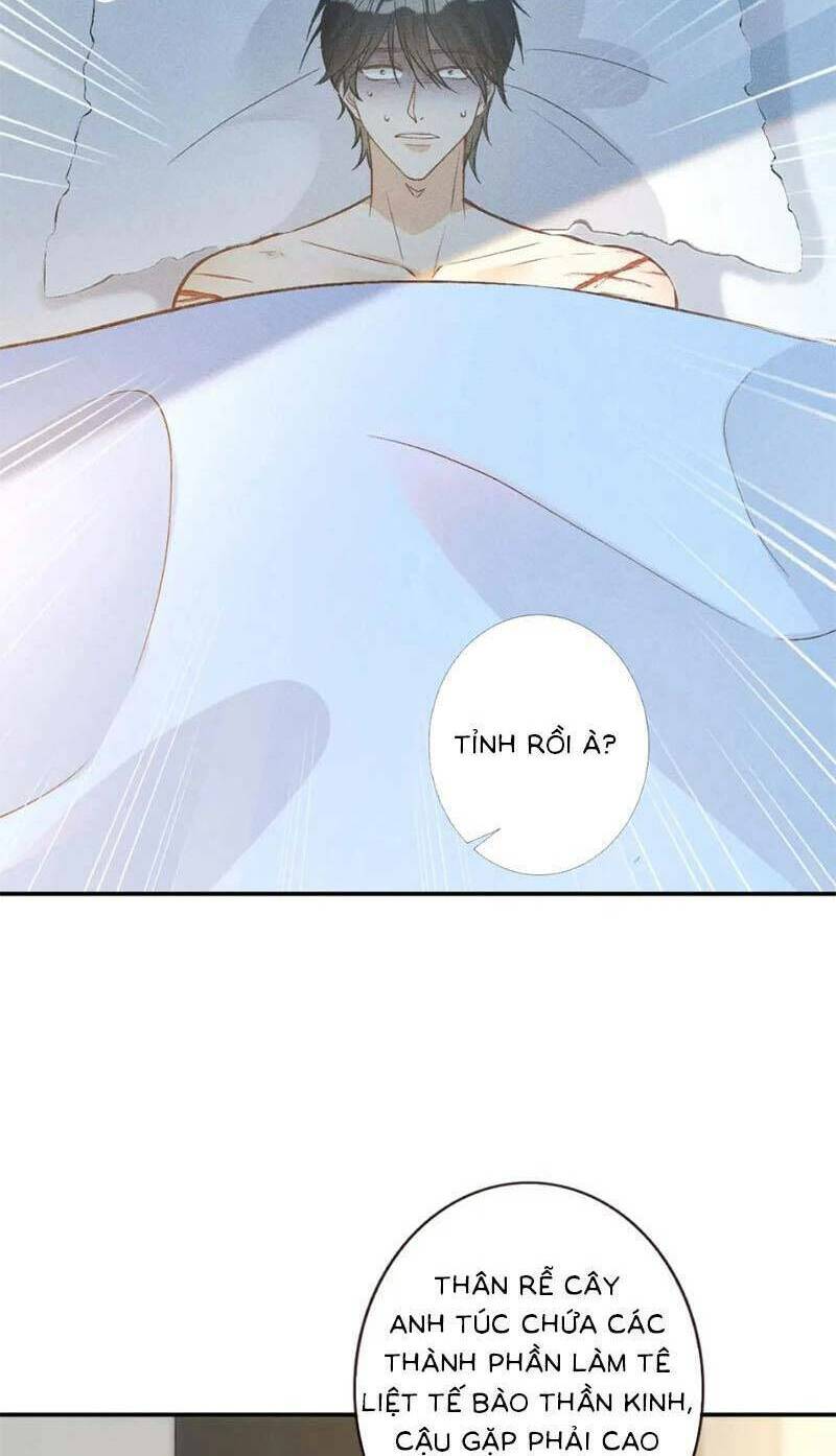 Chapter 256 trang 16