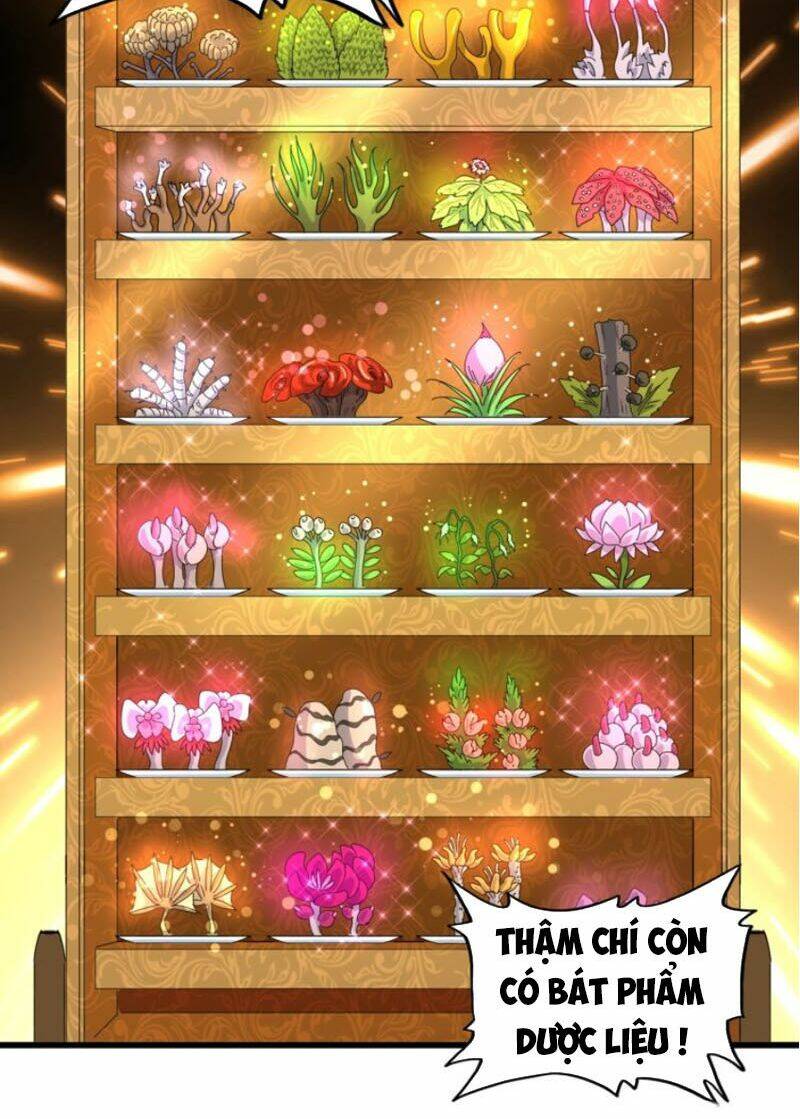 Chapter 177 trang 33