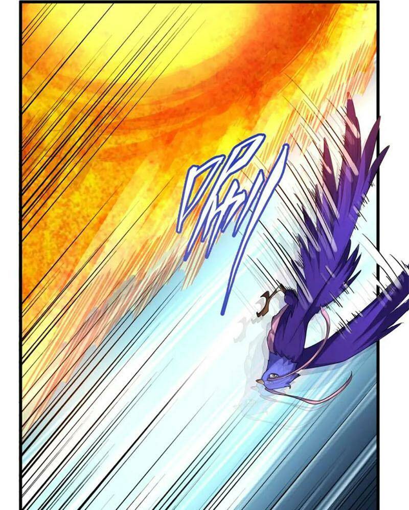 Chapter 328 trang 67